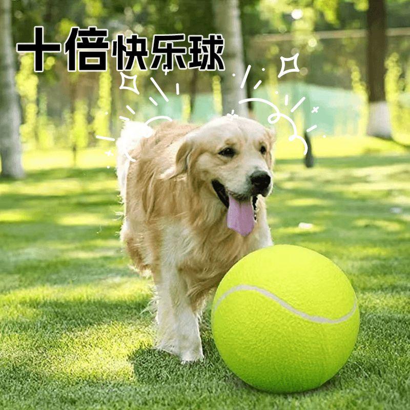 

Dog Toy Ball Ten Times Happy Ball Super Large Tennis 24cm Shiba Inu Bite-Resistant Dog Training Dog Funny Dog Relieving Stuffy Pet Supplies 24cm Super Tennis [single pump + air needle]]