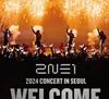 2NE1 OFFICIAL LIGHT STICK (Fanlight)