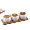 Qianxing Ceramic Condiment Jar Sets