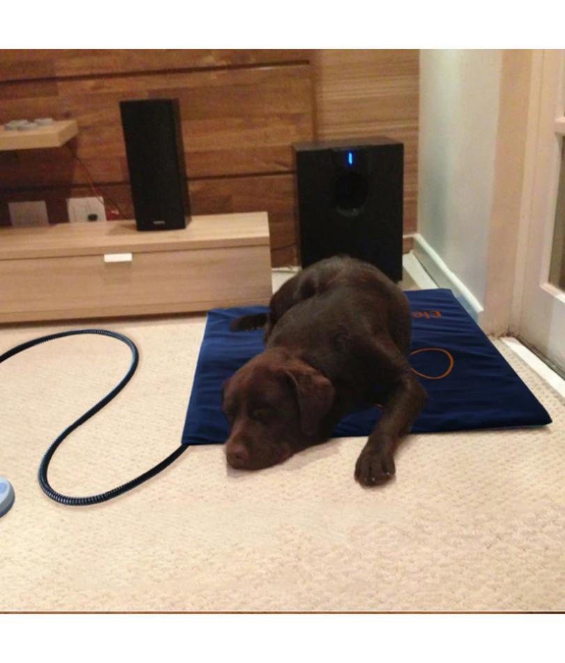 45×60cm Pet Electric Heating Pad Blanket Dog Cat Winter Warmer Pad Waterproof Adjustable Temperature Dog Mats US/UK/EU Plug