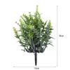 Eucalyptus Potted Greenery Plant For Indoor Living Styling Room