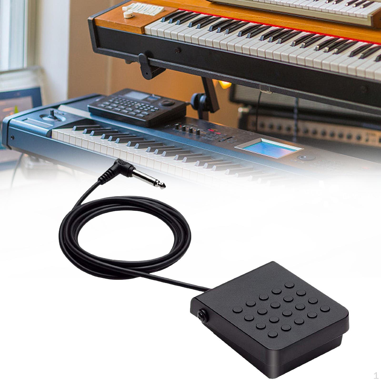 

Electronic Piano Pedal Sustain Non Slip Universal Sturdy Compact Professional Keyboard 6.5mm Jack