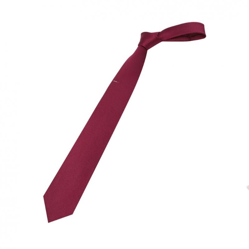 Daks Silk Blend Solid Cubic Tie Dmg1acf1211r2