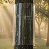 Tree Trunk Protector Guard for Iguana, PET Plastic Tree Trunk Wrap Bark Protector with Clear Double-Sided Tape for Preventing Iguana Cat Animals