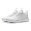 Li-Ning Wade All City 10 V2 Kids Dreamer Kids Sneakers White Standard-White Antarctic-Ash ABPS017-4