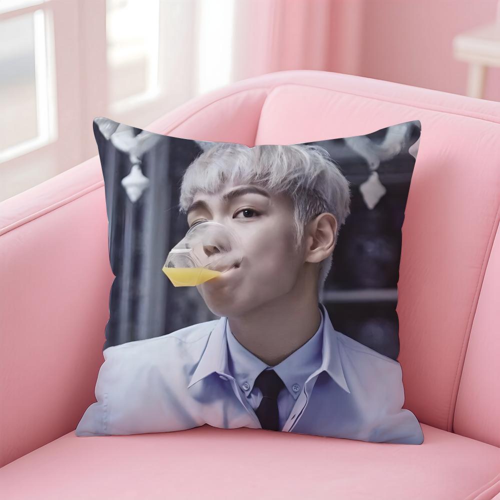 Singer T.O.P Cushion Cover Home & Car Multi-Scene Pillow Cover - Reversible, Soft & Durable for Daily Use