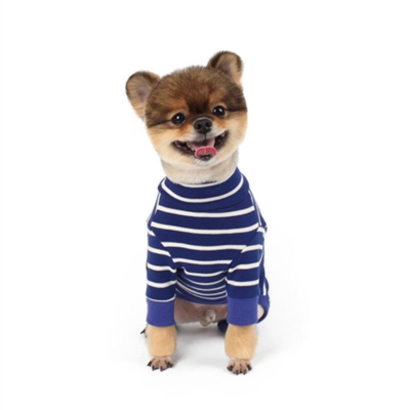 

Dangara All-in-One _Blue&Ivory SM