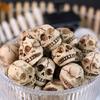 Set di 20 Decorazioni Teschio in Resina Props Miniatura Versatili per Halloween Case Infestate e Feste a Tema