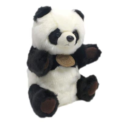 Echter Fleckenpanda
