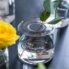 New Minimalist Printed Small Hole Glass Flower Vase Transparent Hydroponic Hydroponic Flower Arrangement Handicraft Decoration