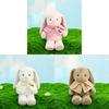 Ear Hanging Shawl Rabbit Plush Toy Clothes Can Be Disassembled Holiday Kids Gift