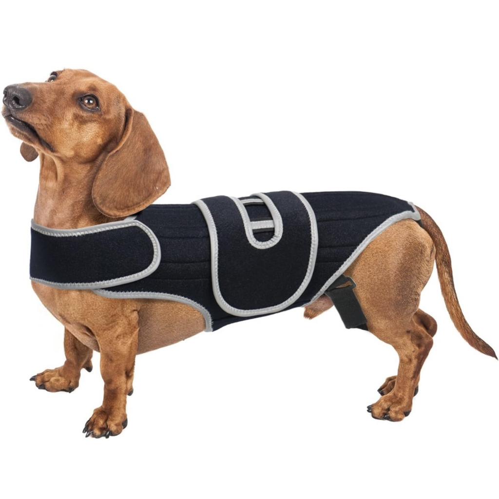 Dog Back Support Brace – Relieves IVDD,Hip Dysplasia, Arthritis & Spinal Injuries Adjustable Breathable Design Spinal Brace Vest
