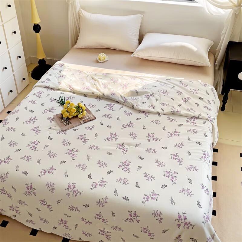 

PLOVER Cool-Feel Ice Silk Summer Quilt