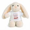 Planetee Peluche Lapin Bébé Doudou Future Meilleure Auxiliaire De Justice Cadeau Naissance Fille Nouveau-Né Baby Shower