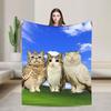 Warm Comfy Blanket Plane Travel Funny Space Planet Kitten Bedding Throws Fashion  Bedspread For Home Decor