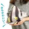Fish Mascot Collection: Lifelike Fish Cushion, Cute and Fun Sea Creatures (Hatatate)