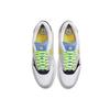 Air Max 1 Daisy CW6031-100