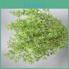 Wedding Hall Outdoor Green Plant Decorations With Faux Leaf For Special Events