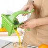 Manual Citrus Juicer