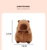 Capybara Car Hanging Tissue Box Holder