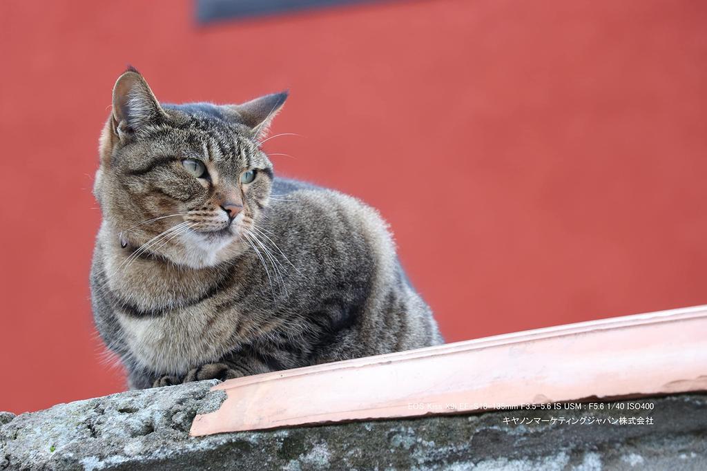 [Refurbished] Canon EOS Kiss X9i Digital SLR Camera with High-Magnification Zoom Kit (EOSKISSX9I-18135ISULK)