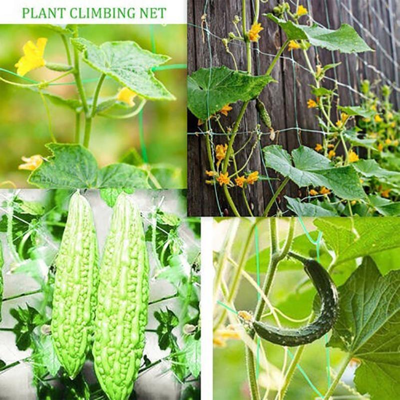 4 Sizes 27 Strands of  Horticultural Plant Climbing Vine Net Ipomoea Nil Climbing Flowers Climbing Rattan Ropes for Plants