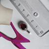 Серебряная подвеска с рубином 3.92ct, фианитами (2205326)