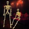 Poseable Full Body Human Skeleton Decors Haunting Halloween Party Skeleton with LED Green Lights for Scary Atmosphere