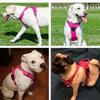 Hundegeschirr, reflektierend, verstellbar, atmungsaktiv, Weste, Brustgurt für kleine, mittelgroße und große Hunde, Katzen, Welpen, Halsband, Hundezubehör