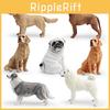 Simulated Shiba Inu Golden Retriever And Border Collie Pet Dog Model Ornament