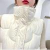 Gilet en duvet pour femme, court, nouvelle camisole d'hiver, vêtement d'extérieur en duvet de canard blanc, col montant, version coréenne, veste chaude ample à la mode