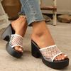 Hollow Mesh Cloth Square Head 2025 Summer New Sandals Thick Low Heels Fashionable and Sexy Outer One-word Slippers