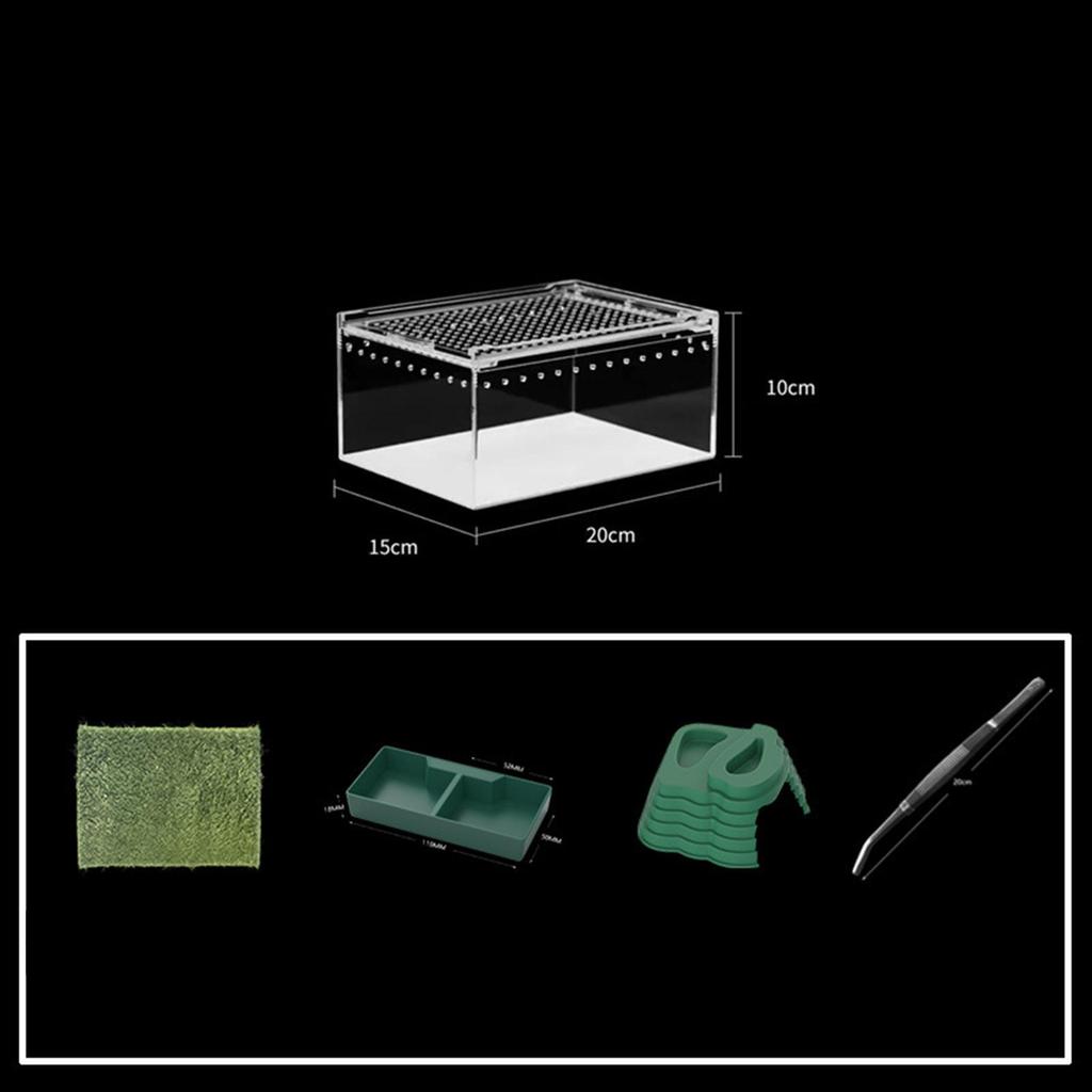 Reptile Breeding Box Animal Habitat Cage Professional Portable Tank Container for Turtle