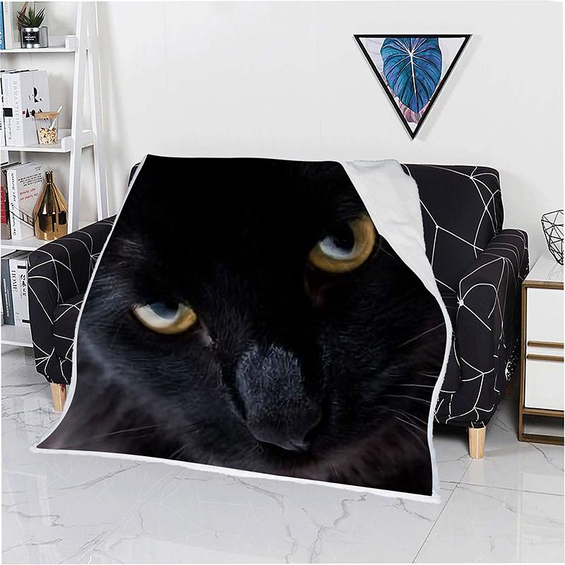 kitten throw blanket