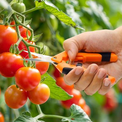 Pruning Shears, Garden Trimming Scissors, Gardening Hand Pruning Snips Titanium Coated Precision Bonsai Pruning Shears, Convenient Flower Cutters