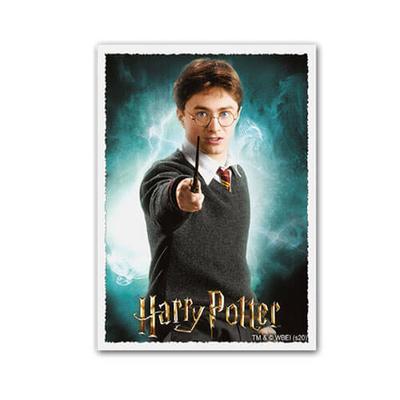 Dragon Shield Matte Art Sleeves Doos van 100 (Harry Potter)
