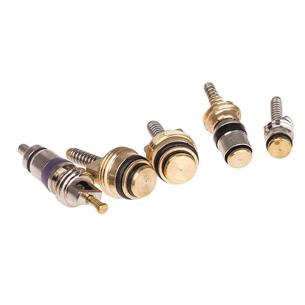 102Pcs Car R134a R12 A C Air Conditioning Valve Core & Remover Tool Kit 1 4 5 16