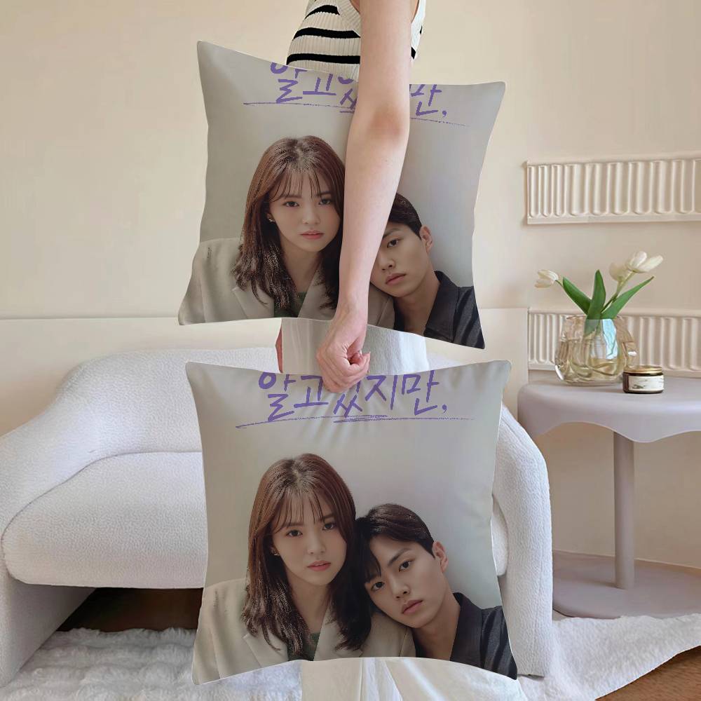 N-Dennoch Kissenbezug Sofa und Wohnzimmer Dekorative Kissenbezüge Staubdicht und Milbendicht Unsichtbarer Reißverschluss