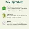 CENTELLIAN24 Madeca Powder Tea Tree AC