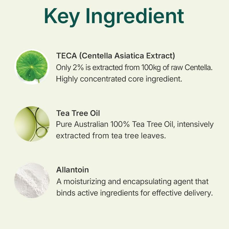 CENTELLIAN24 Madeca Powder Tea Tree AC