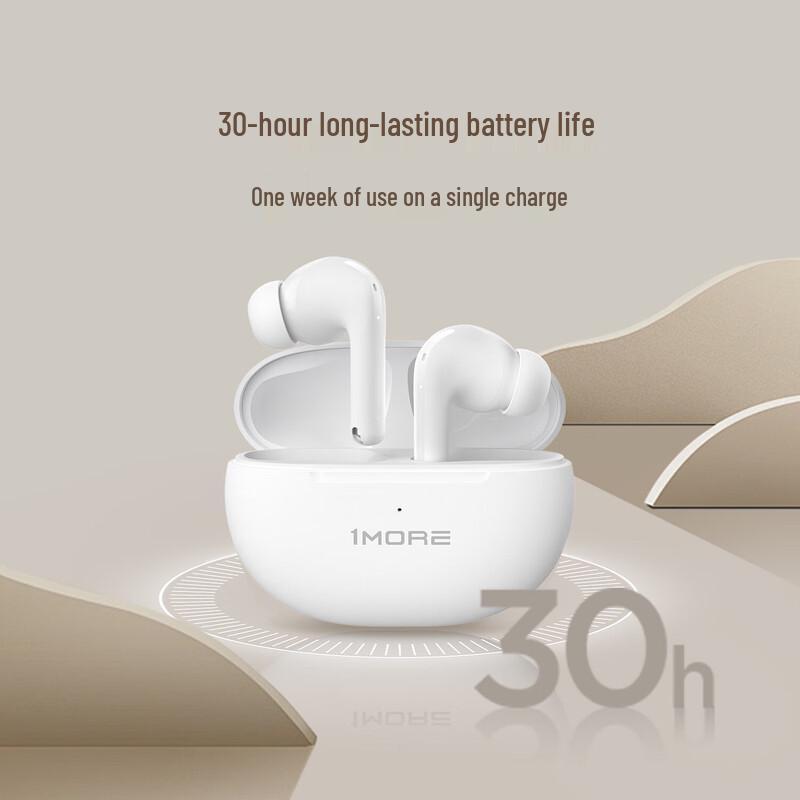 1MORE Q20 True Wireless ANC Earbuds