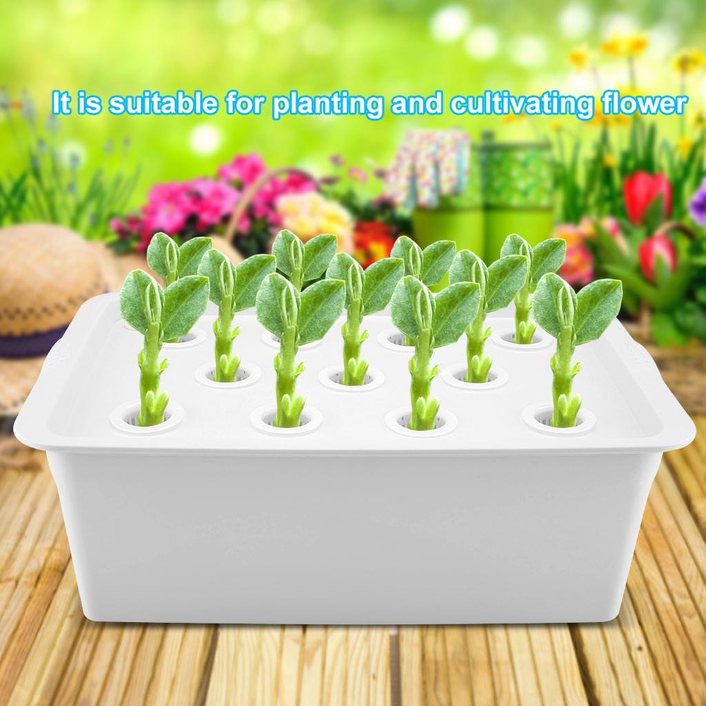 11 Löcher Hydroponisches System Pflanzen Anbauen Blume Wasser Erdlose Kultur Box (Weiß, )