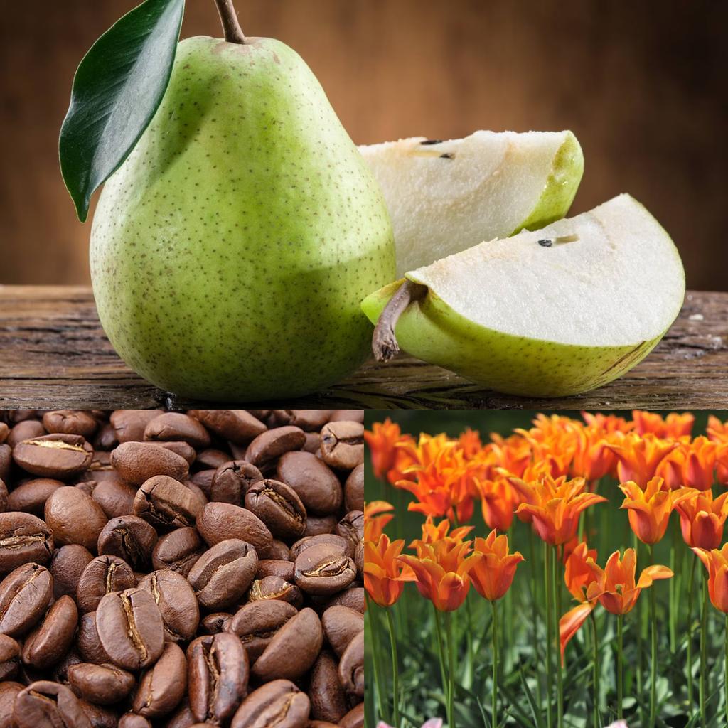 PheroStrong By Night Massageöl für Frauen – Begeistert Männer mit Pheromonen – 100 ml