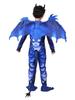 Kids' Halloween Dragon Knight Costume Set