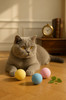 Rufen Sie den Katzenspielzeugball an, interaktiver Ball, Gravitationsball, Heimtierbedarf, Katzenspielzeugball mit Ton, um die Katze anzulocken