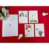 Traditional Chinese Culture for Children Gift Set