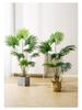 Large Luxury Faux Livistona Flower: Indoor Green Plant Floor Decoration