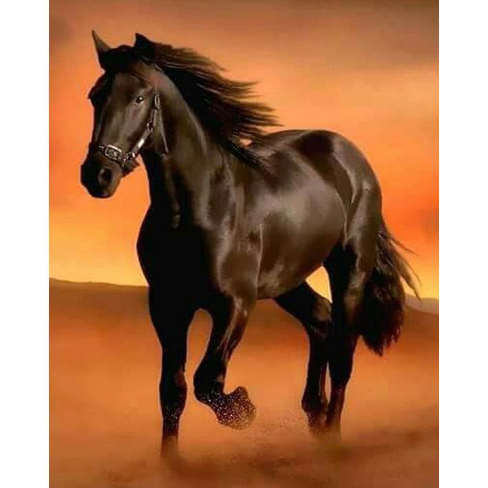 

Алмазная картина, полная круглая дрель, вышивка крестиком, мозаика, алмазная вышивка, Новое поступление, мозаика со стразами, домашний декор, подарок 15x20CM