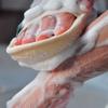 Peeling-Schwamm-Pad Natürlicher Handtuch-Kürbis-Schwamm Peeling-Körperhandschuhe Für Männer Und Frauen, Geeignet Für Baden Spa