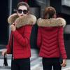 Women's large fur-collared cotton-padded clothes, short hooded slim-fitting cotton-padded jackets, multi-color optional winter women's thickened cotto